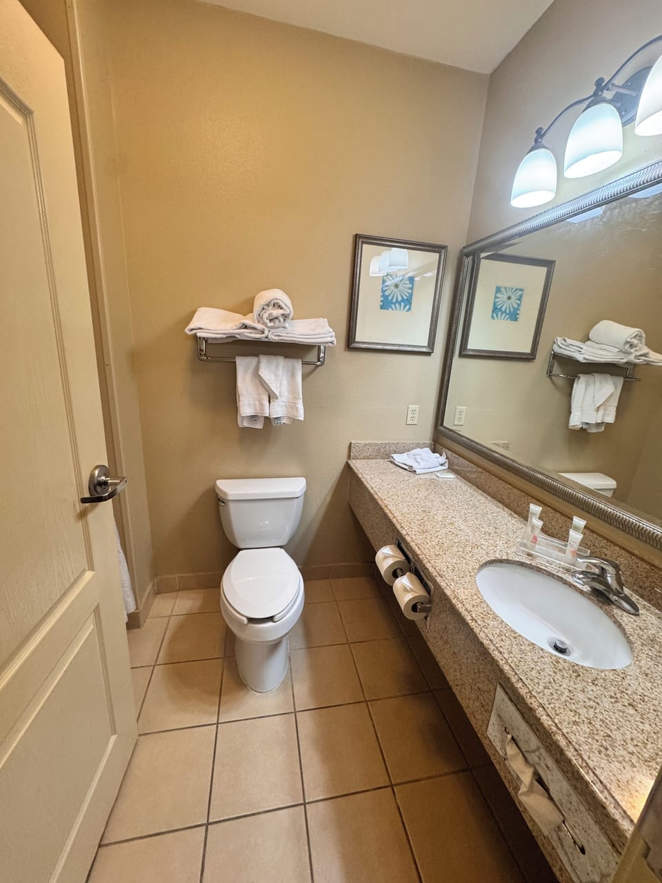 Suite, 1 King Bed with Sofa bed, Non Smoking | Bathroom | Free toiletries, hair dryer, towels