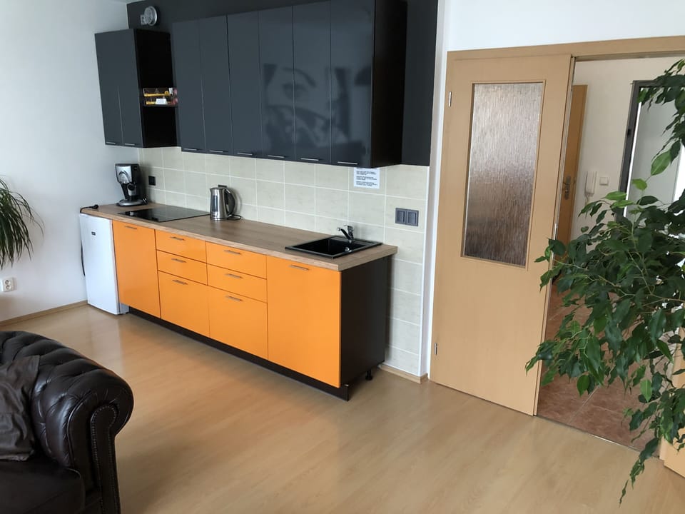 Family Apartment, 1 Bedroom, Balcony | Private kitchen | Fridge, microwave, oven, stovetop