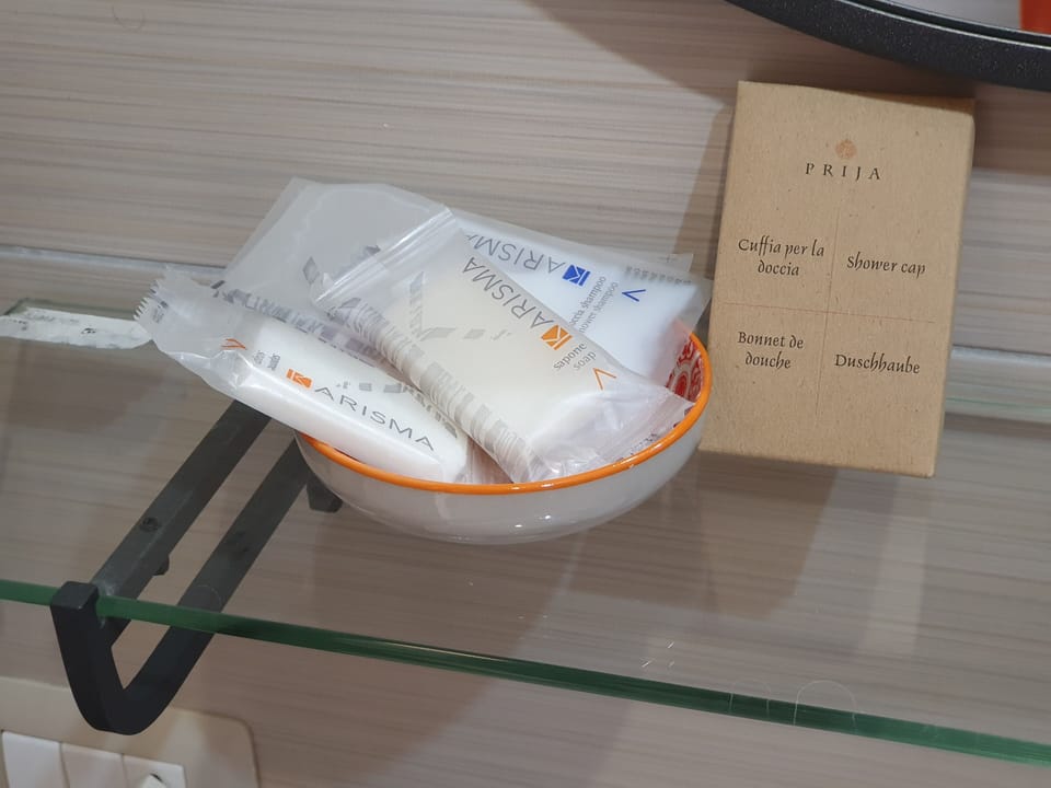 Shower, free toiletries, hair dryer, bidet