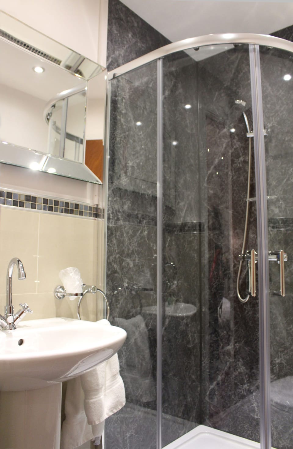 Single Room | Bathroom shower