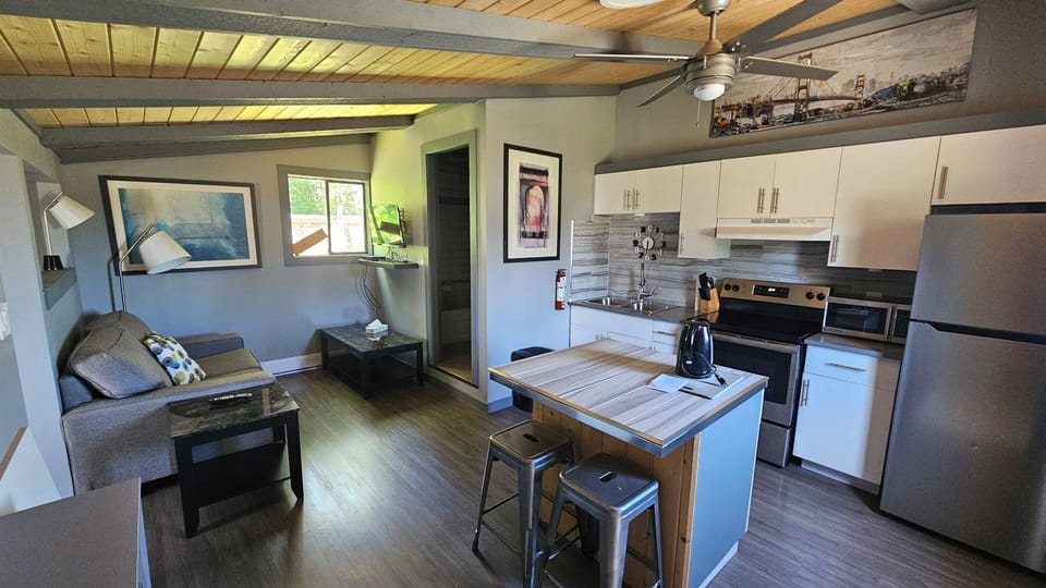 Classic Cabin | Living area | 32-inch LED TV with digital channels, TV, books