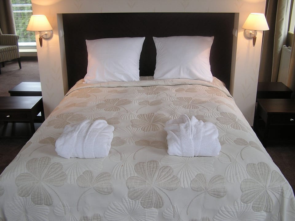 Deluxe Double Room | Minibar, desk, iron/ironing board, rollaway beds