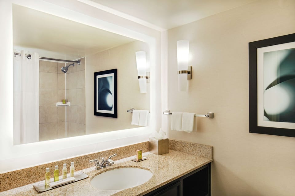 Hair dryer, towels, soap, shampoo