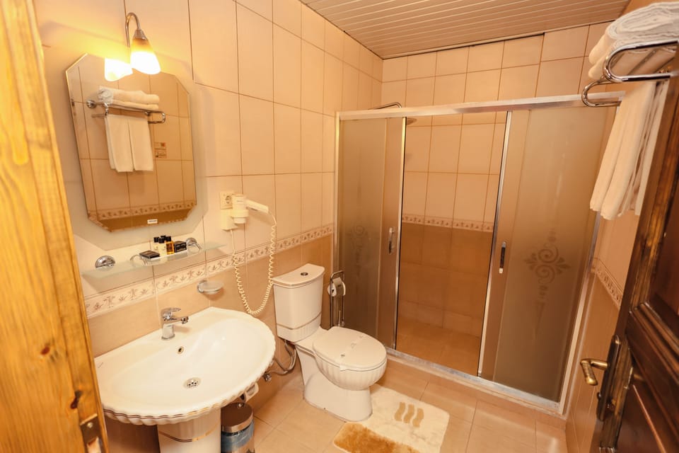 Suite | Bathroom | Shower, free toiletries, hair dryer, slippers