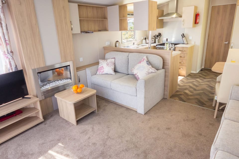 Flat-screen TV, fireplace