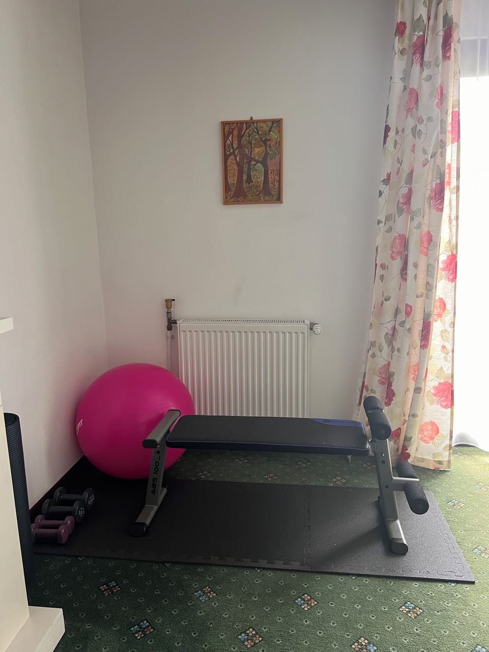 Pension Valentina Bed and Breakfast in Romania