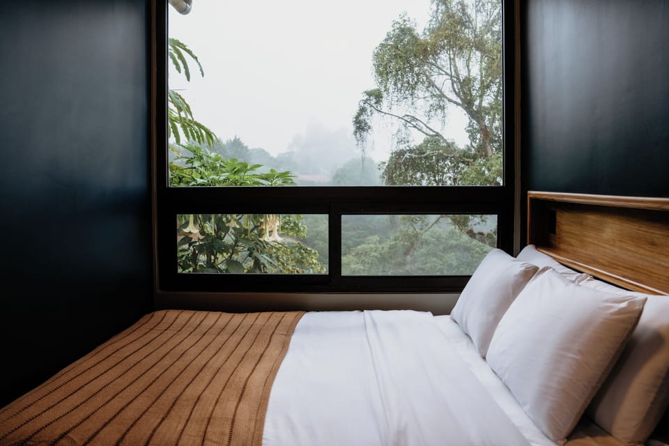 Deluxe Double Room | View from room