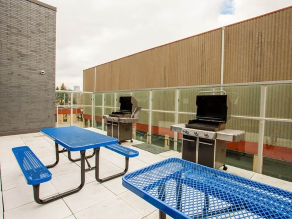 BBQ/picnic area
