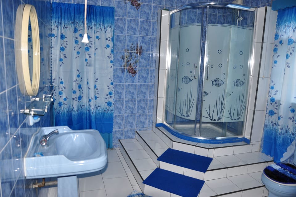Standard Double Room | Bathroom | Free toiletries, hair dryer, slippers, bidet