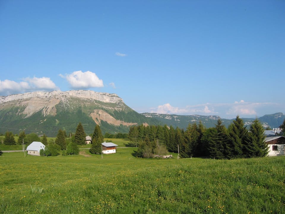 Mountain view