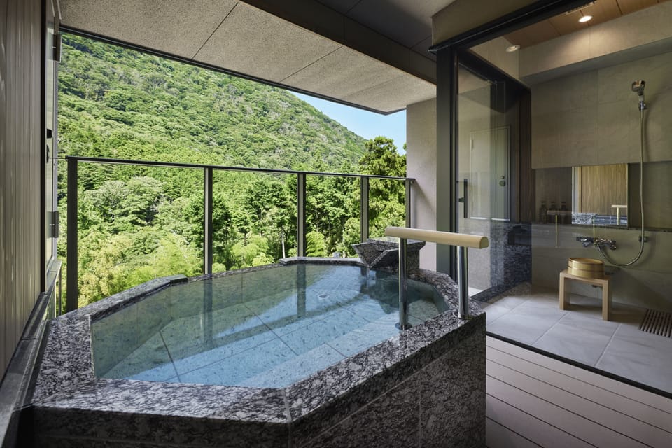 Comfort Room, Non Smoking (Dinner time 19:00 or 19:30) | Bathroom | Separate tub and shower, spring water tub, free toiletries, hair dryer