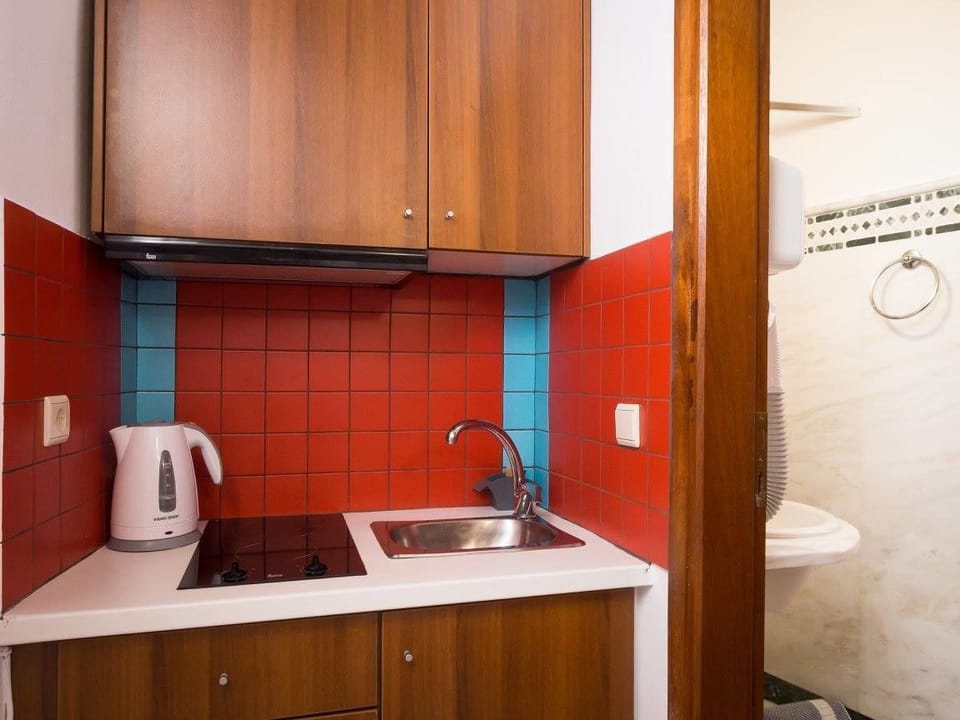 Apartment, 1 Bedroom (1st Floor) | Private kitchenette | Fridge, stovetop, coffee/tea maker, electric kettle