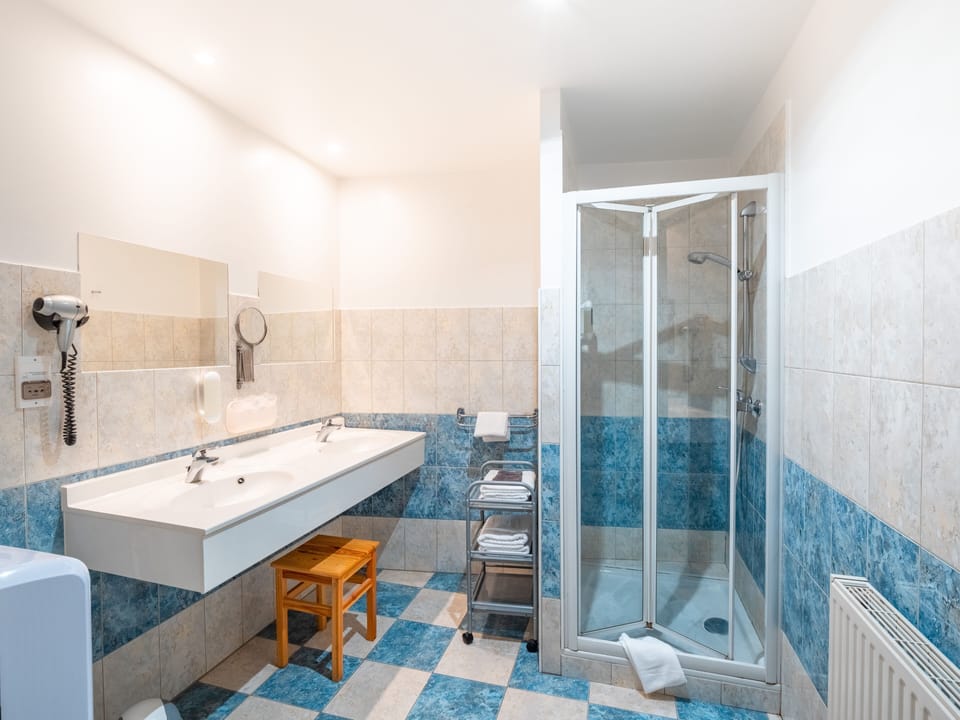 Family Room | Bathroom | Shower, free toiletries, hair dryer, towels