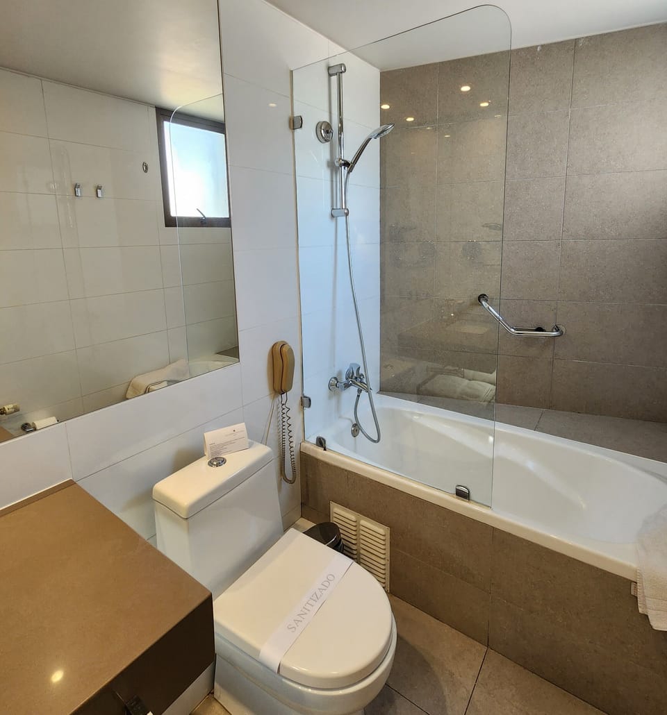 Suite | Bathroom | Shower, rainfall showerhead, free toiletries, hair dryer