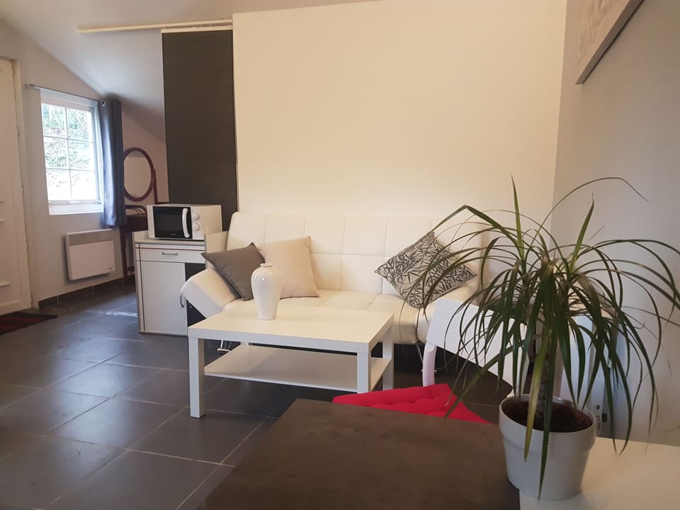 Traditional House, Ensuite, Pool View (Chalet "Au Soleil Levant") | Living area | TV