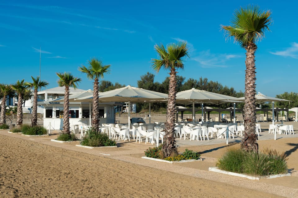 Sun loungers, beach umbrellas, beach yoga, beach volleyball