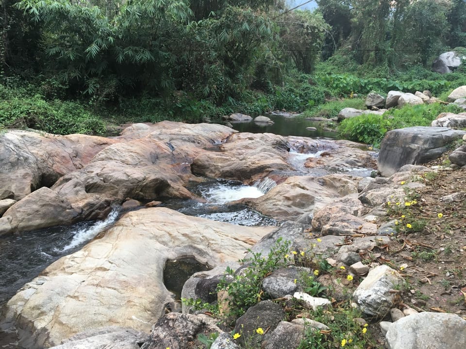 A natural pool
