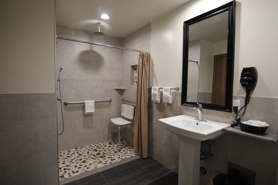 Standard Room, 1 Queen Bed, Accessible | Bathroom shower