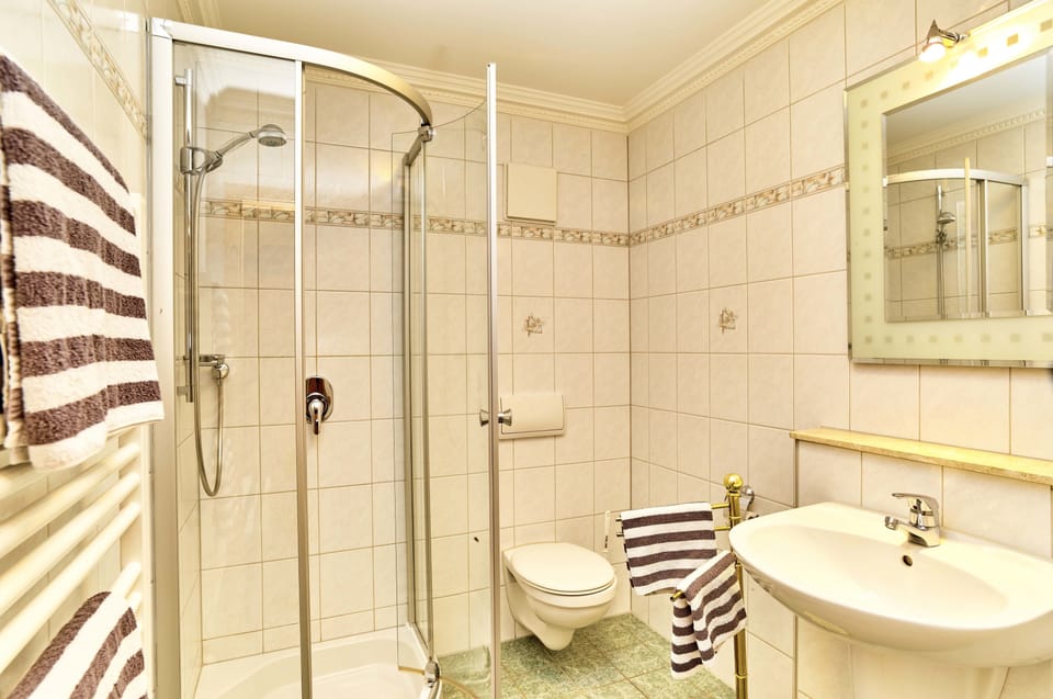Comfort Double Room (Landhotel) | Bathroom | Shower, hair dryer, towels