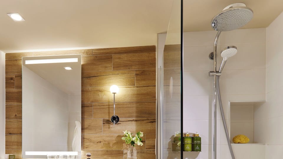 Shower, free toiletries, hair dryer, towels