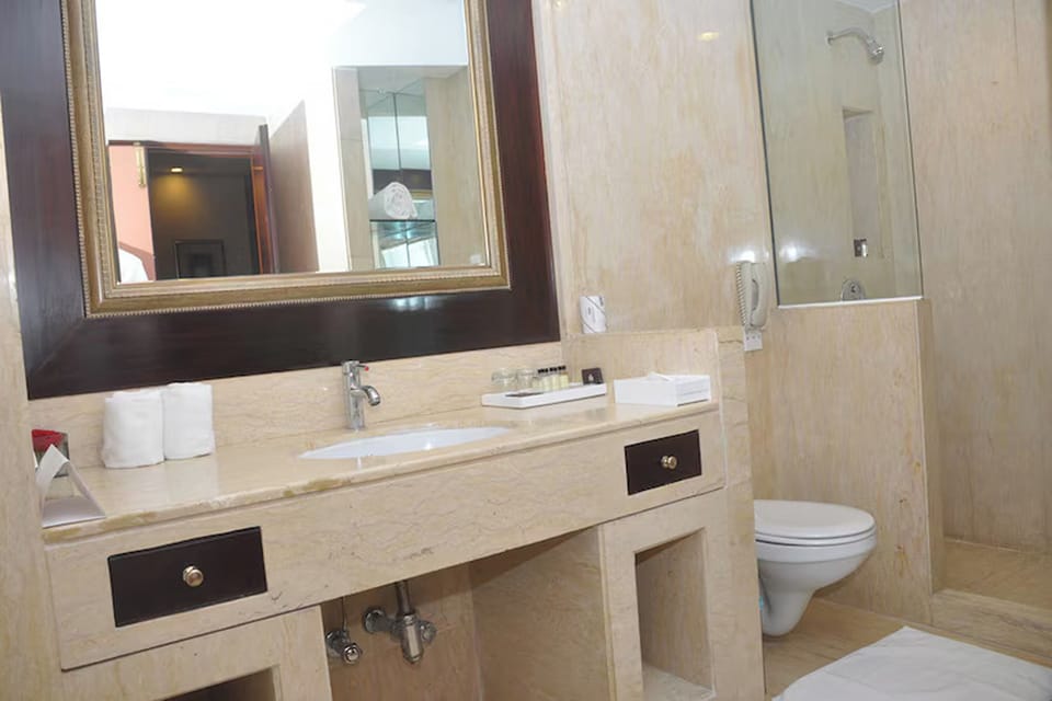 Deluxe Suite | Bathroom | Free toiletries, hair dryer, bathrobes, bidet