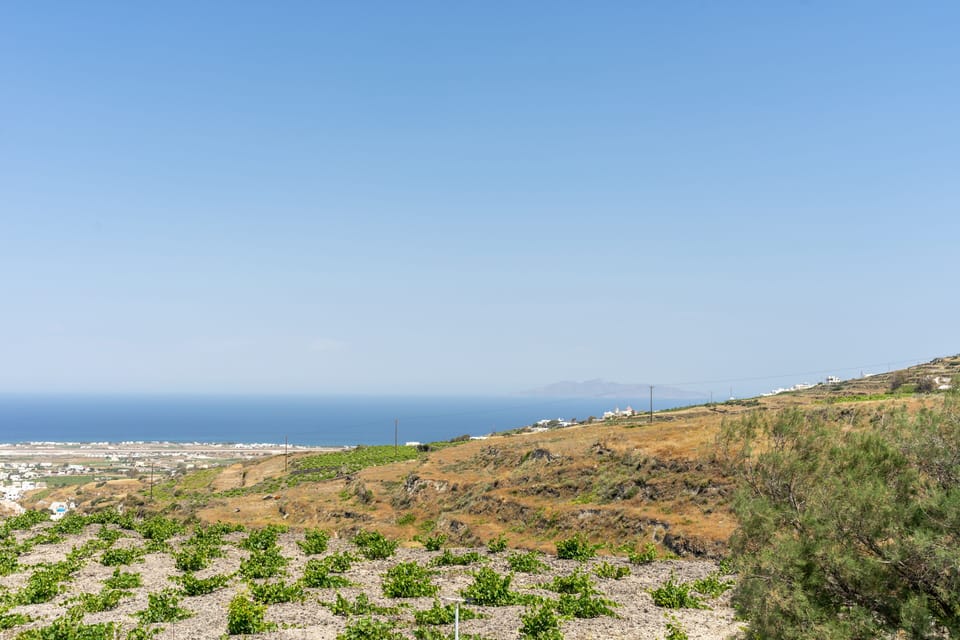 Panoramic Apartment, Balcony, Sea View | 1 bedroom, Egyptian cotton sheets, premium bedding, pillowtop beds