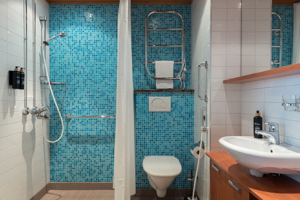 Shower, free toiletries, hair dryer, bidet