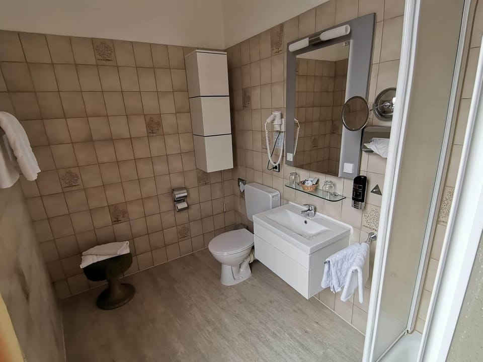 Double Room | Bathroom | Shower, free toiletries, hair dryer, towels