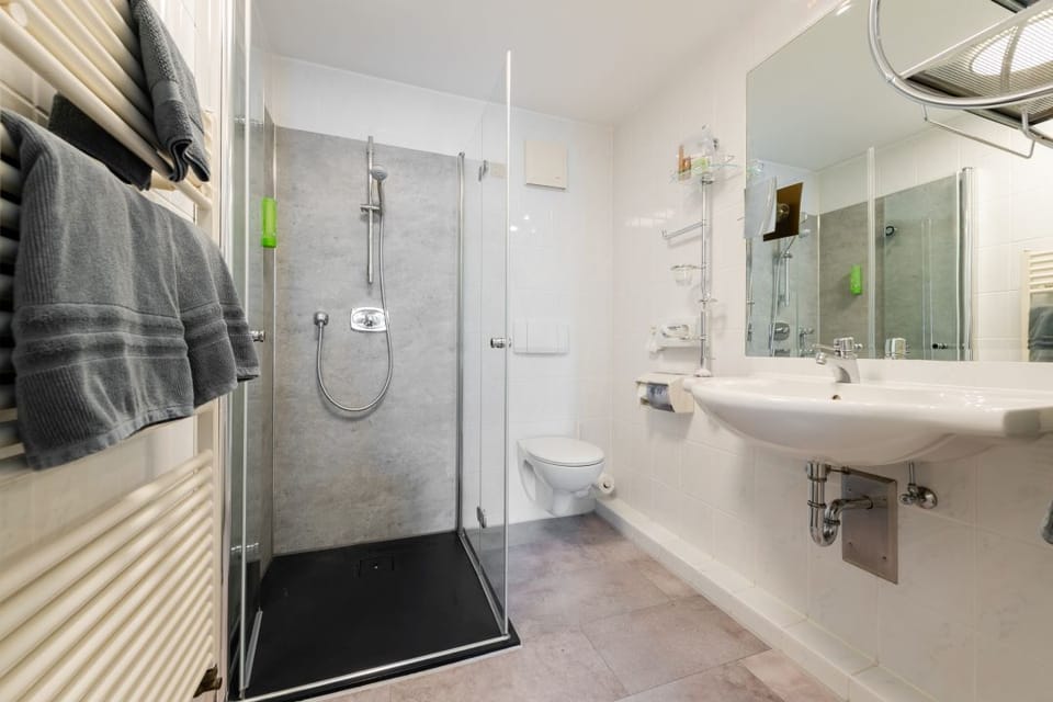 Shower, free toiletries, hair dryer, bathrobes