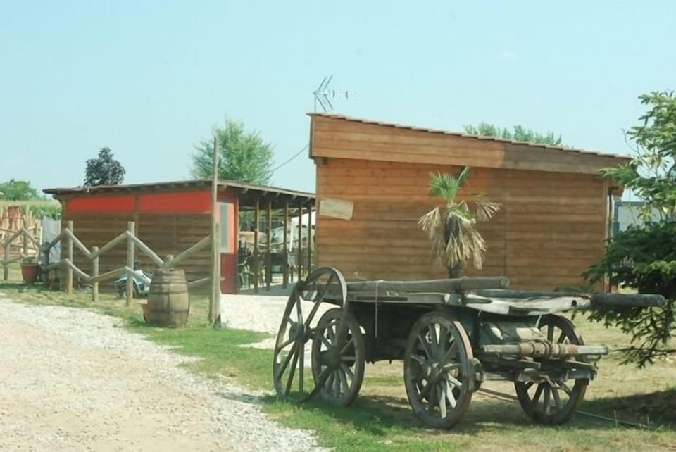Horseback riding
