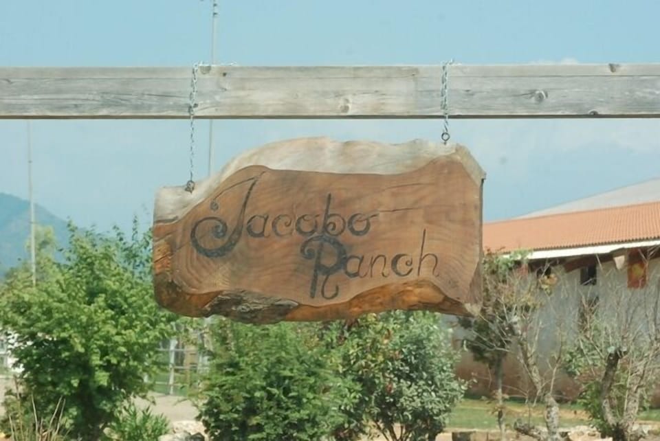 Horseback riding