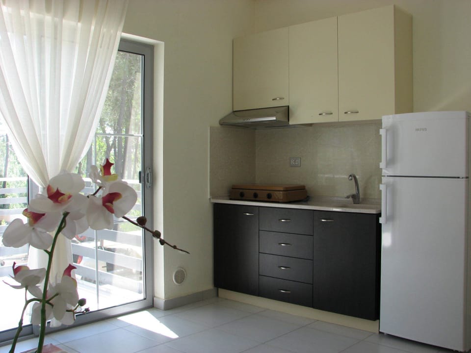 Apartment, 1 Bedroom, Balcony, Garden View | Private kitchen | Fridge, stovetop, electric kettle, cookware/dishes/utensils