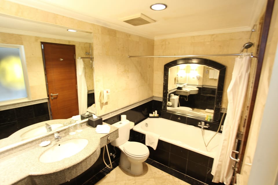 Suite | Bathroom | Shower, rainfall showerhead, free toiletries, hair dryer