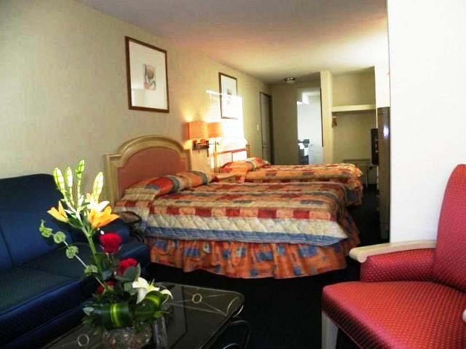 Down comforters, in-room safe, desk, blackout drapes