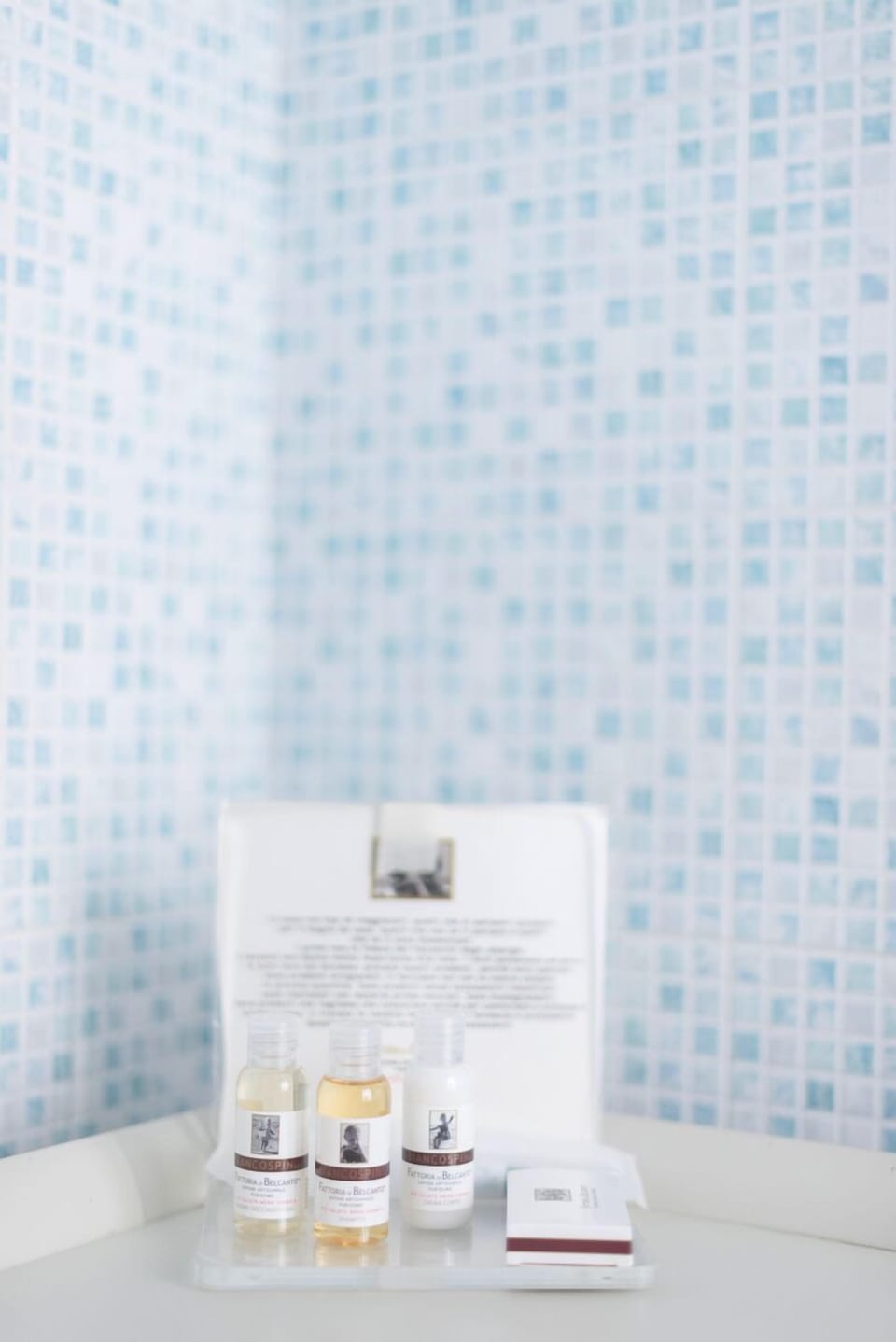 Shower, rainfall showerhead, designer toiletries, hair dryer