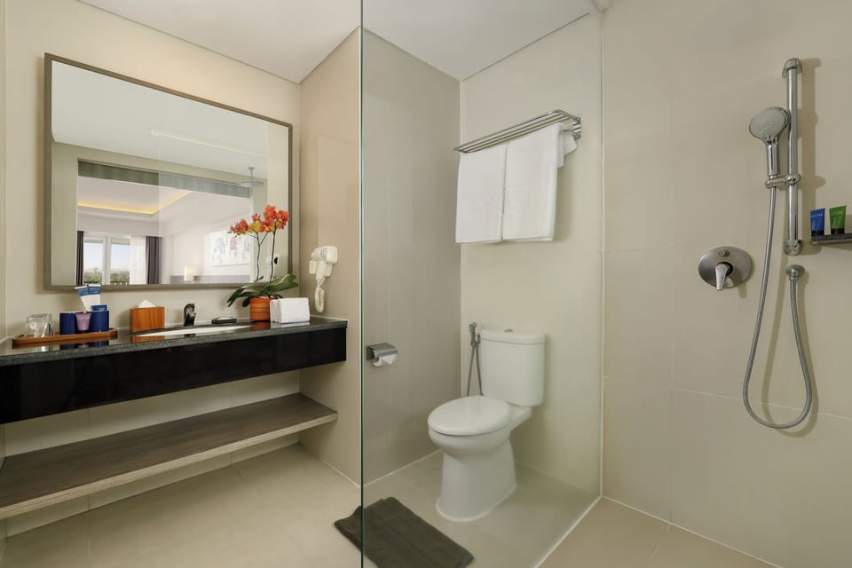 Shower, free toiletries, hair dryer, slippers