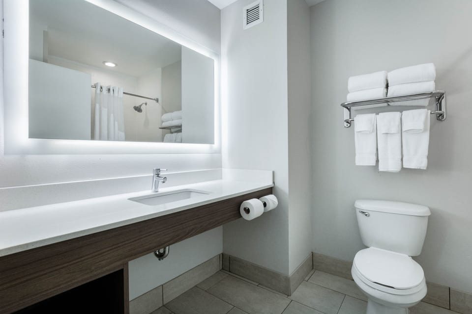 Hair dryer, soap, shampoo, toilet paper