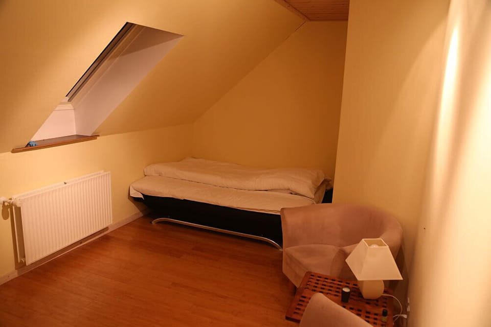 Basic Room | Desk, iron/ironing board, free WiFi, bed sheets