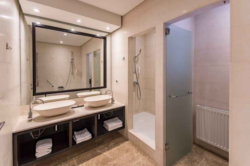 Deluxe Double Room (3 people) | Bathroom | Shower, free toiletries, hair dryer, towels