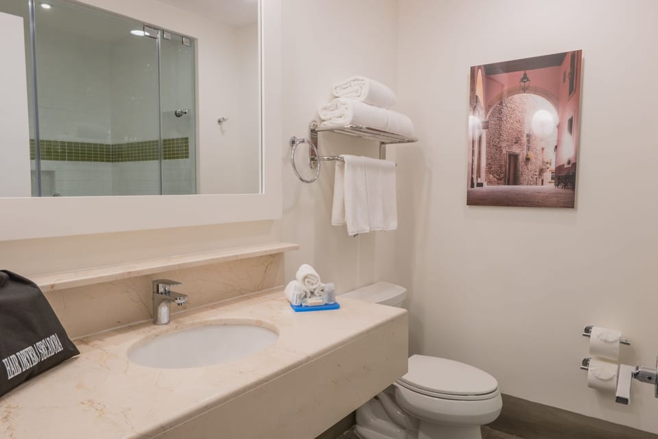 Standard Room, 1 King Bed | Bathroom | Rainfall showerhead, free toiletries, hair dryer, towels