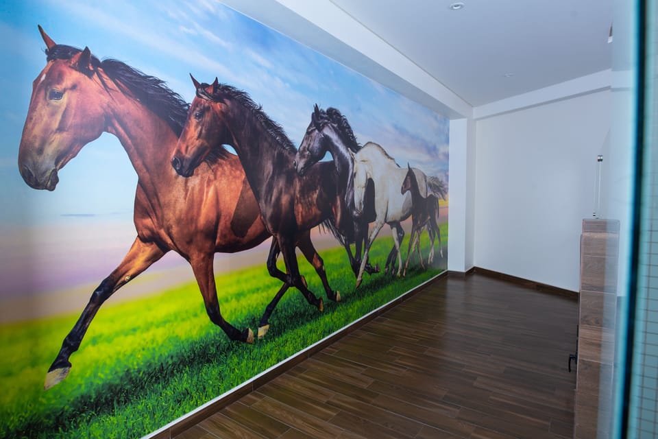 Deluxe Suite | In-room safe, soundproofing, iron/ironing board, free WiFi