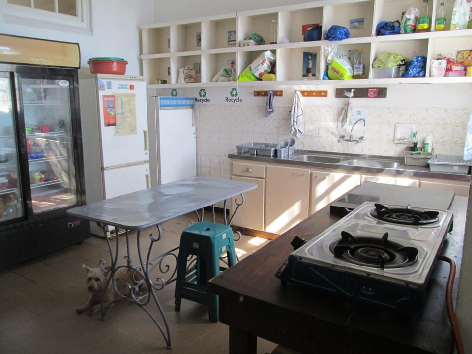 Shared fridge, microwave