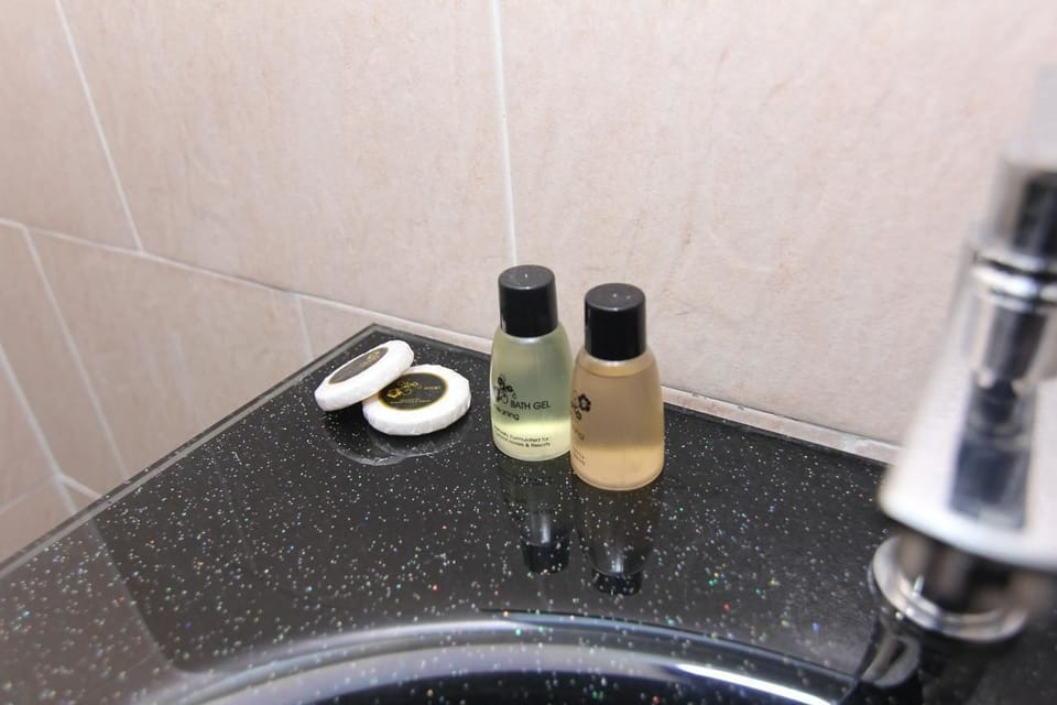 Shower, free toiletries, hair dryer, towels