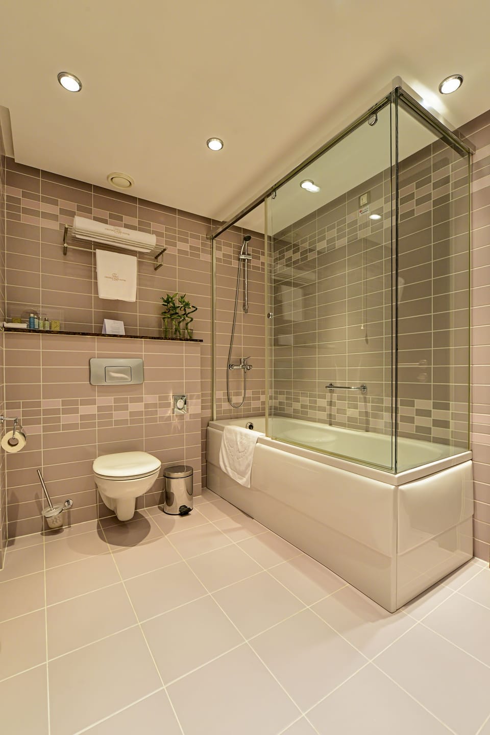 Combined shower/tub, free toiletries, hair dryer, bathrobes