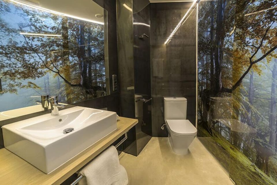Double Room | Bathroom | Shower, hair dryer, towels