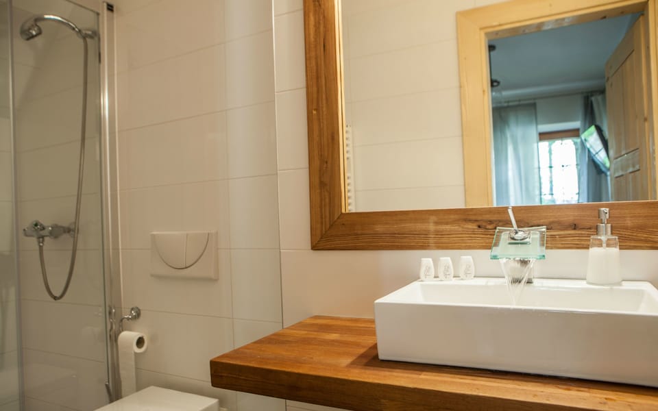 Family Room (Comfort) | Bathroom | Shower, free toiletries, hair dryer, towels