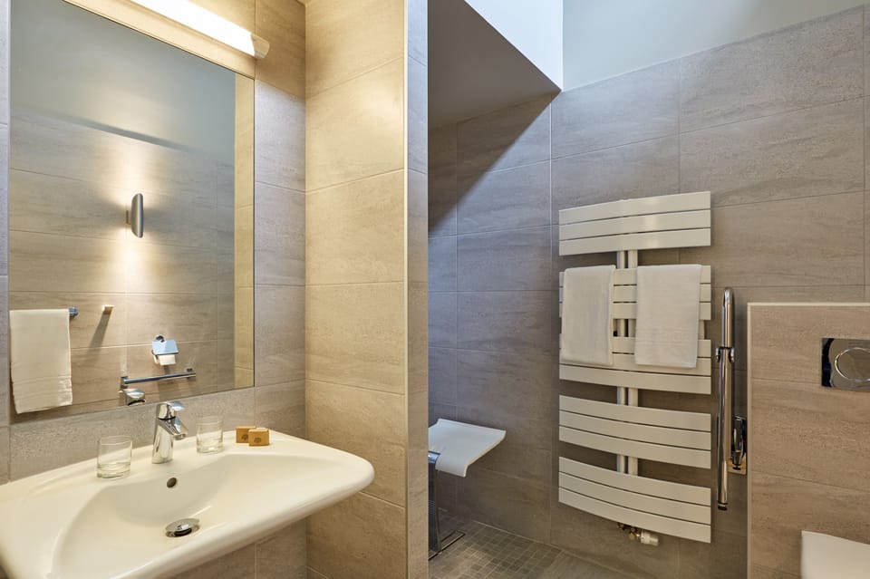 Superior Double Room | Bathroom | Shower, free toiletries, hair dryer, towels