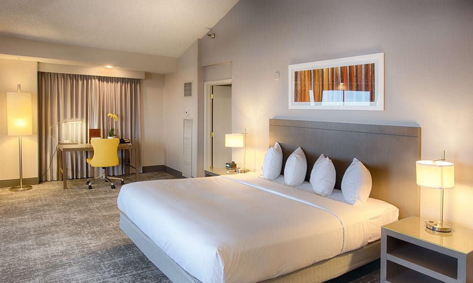 Junior Suite, 1 King Bed, Kitchenette, Mountain View | 1 bedroom, hypo-allergenic bedding, down comforters, in-room safe
