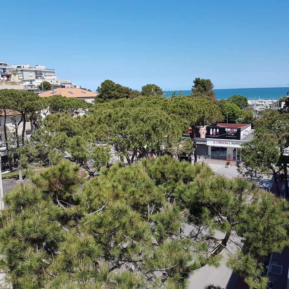 View from room