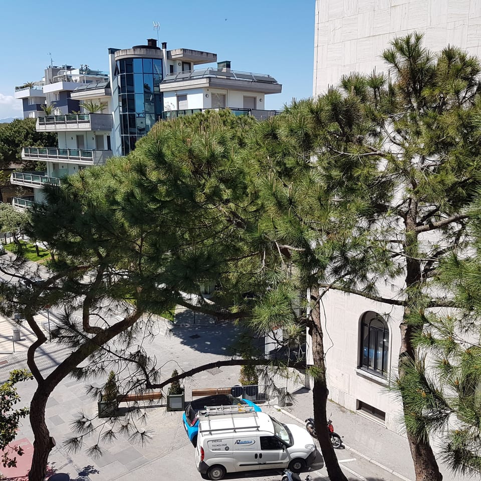 View from room